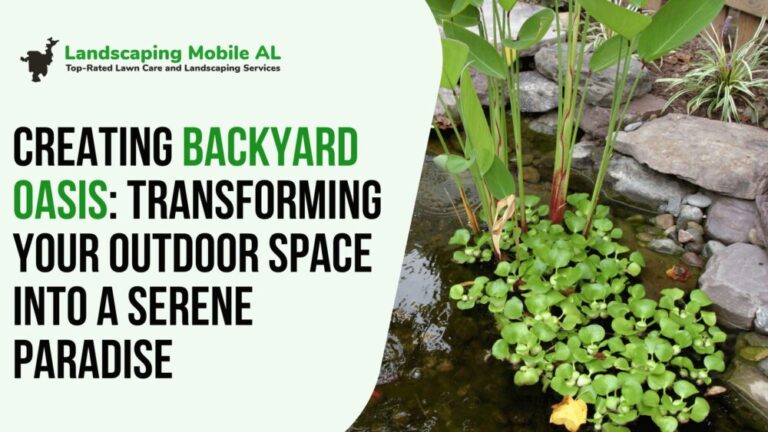Creating Backyard Oasis: Transforming Your Outdoor Space into a Serene Paradise
