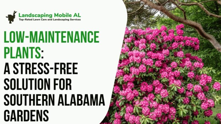 Low-Maintenance Plants: A Stress-Free Solution for Southern Alabama Gardens