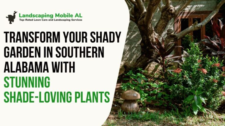 Transform Your Shady Garden in Southern Alabama with Stunning Shade-Loving Plants